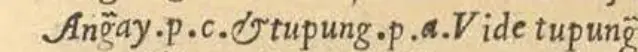 Dictionary entry from a 1637 Hiligaynon-Spanish dictionary defining “angay” (meaning synonymous with “tupung”).