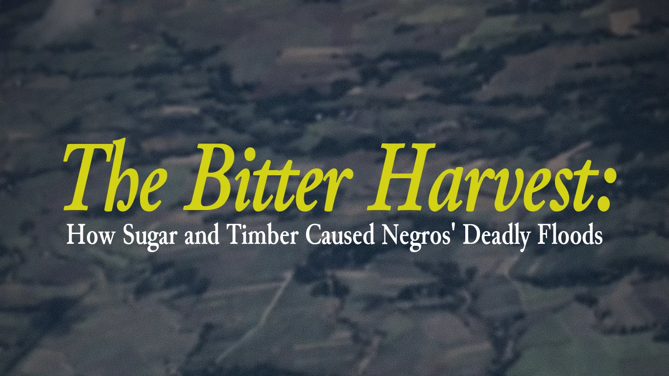 Sugar and Lumber: The Historical Roots of Floods in Negros
