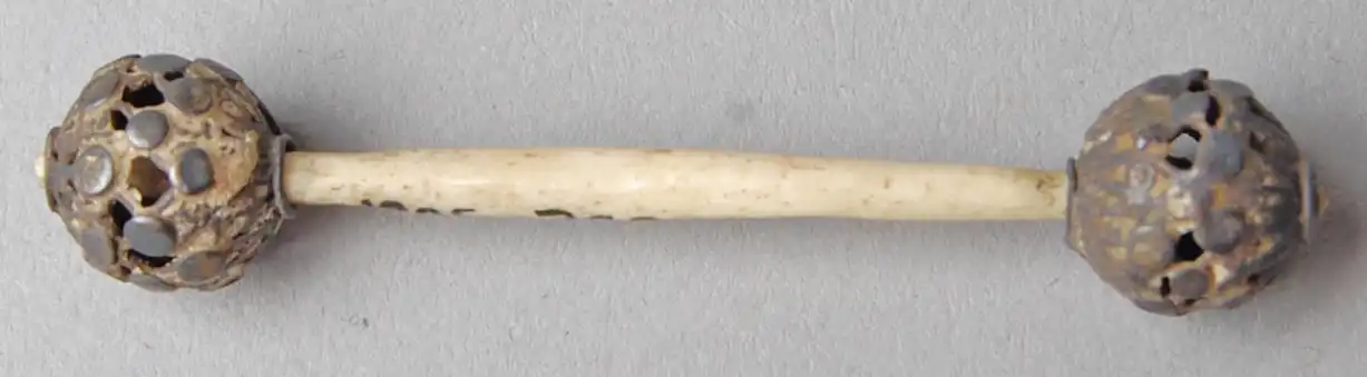 A 19th century penis pin from Borneo locally known as &lsquo;palang&rsquo;. The penis piercings Pigafetta saw in 1521 probably looked like this. Image from the British Museum.
